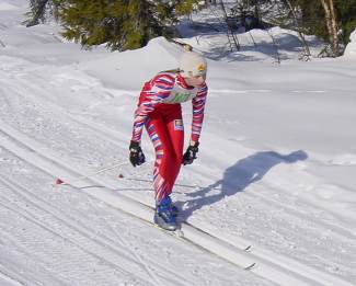 Elisabeth Lfgren stakar in p silverplats.